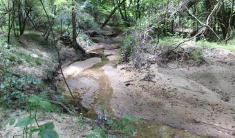 00 Pinola Braxton Rd, Braxton, MS 39044