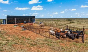 Tbd FM 1788, Andrews, TX 79714