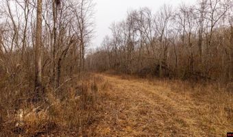 CR 19-A, Alton, MO 65606