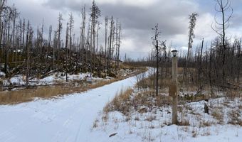 2025 Granite Rd, Bellvue, CO 80512