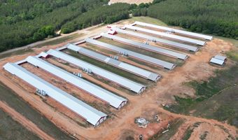 1481 County Road 127, Abbeville, AL 36310