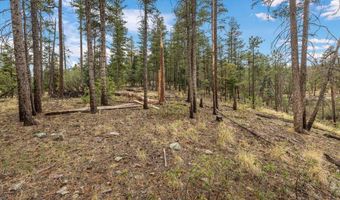 14 County Rd 2074, Alpine, AZ 85920