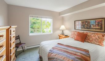 93 Pelican Cir 802, Breckenridge, CO 80424