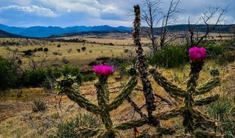 Hart Ranch Dr lot 36, Beulah, CO 81023