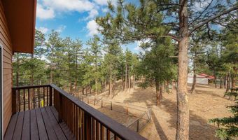 440 La Hermosa Dr, Bellvue, CO 80512