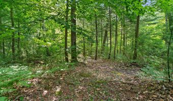 1125 39th St, Allegan, MI 49010