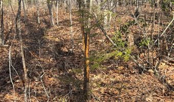 Brookstone Road lot 3, Bastian, VA 24314