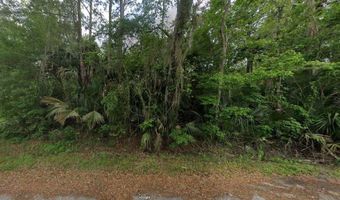 RIVER Road, Astor, FL 32102