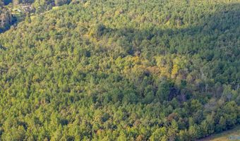 77 Acres Wilson St, Attalla, AL 35954