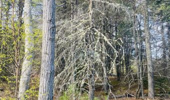 125 10 Pine Ledge Rd, Bangor, ME 04401