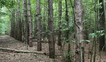 V/L 108th Avenue, Allegan, MI 49010