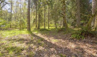 2799 Quines Creek Rd, Azalea, OR 97410