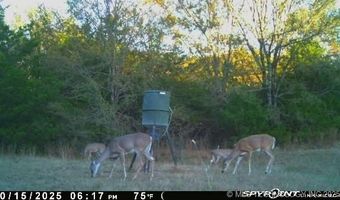 10450 County Road 1490 Rd, Ada, OK 74820