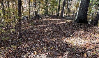 Hwy 9, Bruce, MS 38915