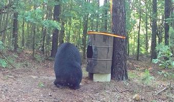 TR 55 56 57 & 23 PINE TREE TRAIL, Albion, OK 74571