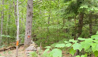 Rines Road 49, Alton, NH 03809