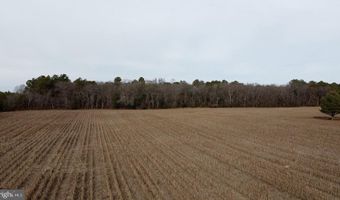 21063 WILSON Rd, Georgetown, DE 19947