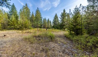 2965 W SUMMER Ave, Athol, ID 83801