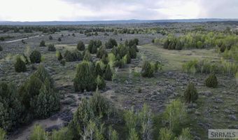TBD 40 AC Arcadia Road, Ashton, ID 83440