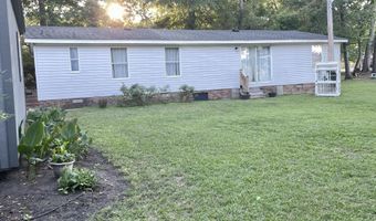 2166 Healing Springs Rd, Blackville, SC 29817