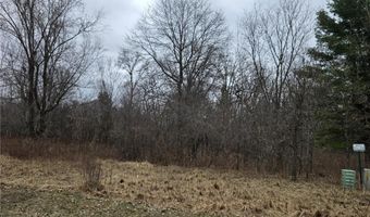 L4 B1 288th Avenue NW, Baldwin Twp., MN 55398