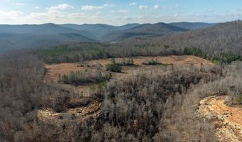 700 Acres Puncheon Creek Ln, Allred, TN 38542