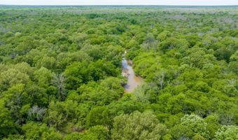 CR 4630, Annona, TX 75550