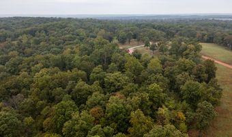 2421 Morrison Loop, Anderson, MO 64831
