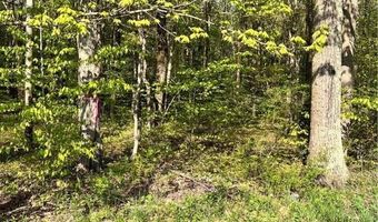 318 Birch Dr, Tunkhannock, PA 18610