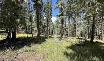 Lot 10 Alpine Lake Terrace, Angel Fire, NM 87710