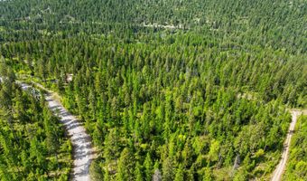 397 Saddlehorn Trl, Bigfork, MT 59911