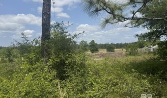 39207 St Hwy 59 Lot 28-02-09, Bay Minette, AL 36507