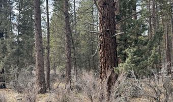 Bufflehead Drive TL 10, Bonanza, OR 97623