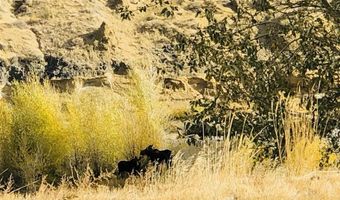 93 Copperleaf Dr, Cody, WY 82414