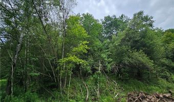 738 Four Mile Rd, Allegany, NY 14706
