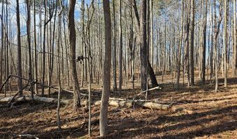 SOUTH AMELIA AVENUE, Amelia Court House, VA 23002