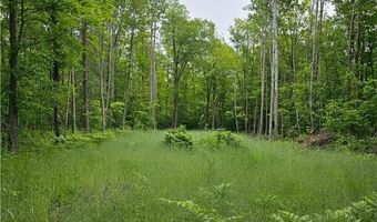 0000 280th Pl, Aitkin, MN 56431