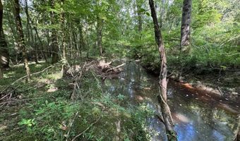SW Auburn Drive, Bogue Chitto, MS 39629