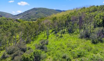 Trentaz Drive, Aspen, CO 81611