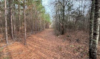N broad St, Abbeville, GA 31001