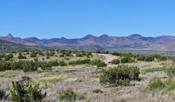 TR 111 Sierra La Rana, Alpine, TX 79830