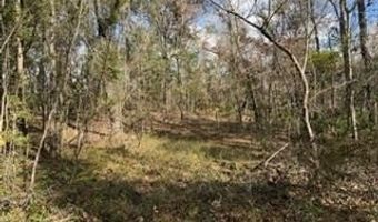 SW 22nd Pl, Bell, FL 32619