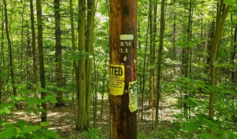 1905 Camp Munn Rd, Bradford, VT 05033