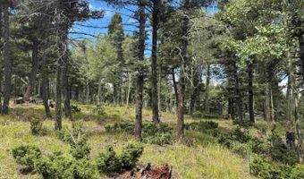 S Vail Overlook lot 310, Angel Fire, NM 87710