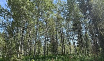 4340 BRODYS Bnd, Ashton, ID 83420