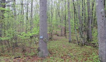 72 Brewster Rd, Barrington, NH 03825