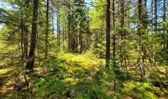 Spruce Mountain Lake, Beddington, ME 04622
