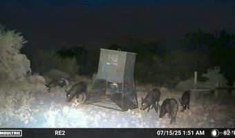 Tbd County Road 173, San Diego, TX 78332