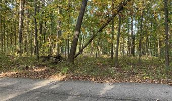 9540 Vincent Ave SE, Alto, MI 49302