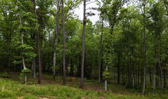 SHORESIDE Dr, Double Springs, AL 35553